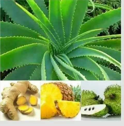 How To Treat Cancer With Herbs and Fruits